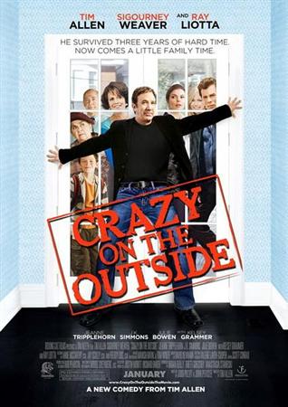    / Crazy on the Outside (2009) HDRip 1400MB